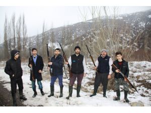 Tarım alanlarına zarar veren domuzlara karşı nöbet başlattılar