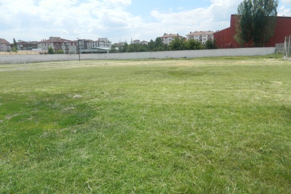 ŞEHİR STADI SENTETİK DEĞİL DOĞAL ÇİM OLMALI...