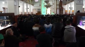 Büyük Camideki Akvaryumlar İlgi Odağı Oldu