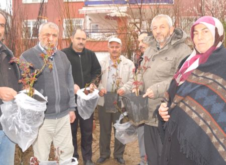 Şehit Yakınlarına Fidan Hediye Edildi