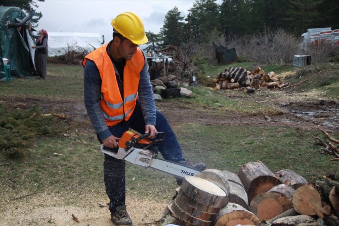 Orman İşçilerinin Zorlu Mesaisi