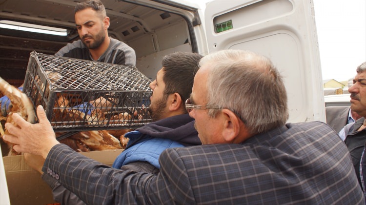 Çubuk'ta Üreticiye Tavuk, Hindi ve Ördek Dağıtıldı