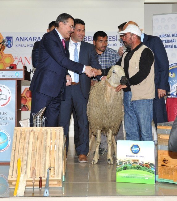 Başkan Gökçek, Çubuk'ta Arı Kovanı ile Damızlık Koç Dağıttı