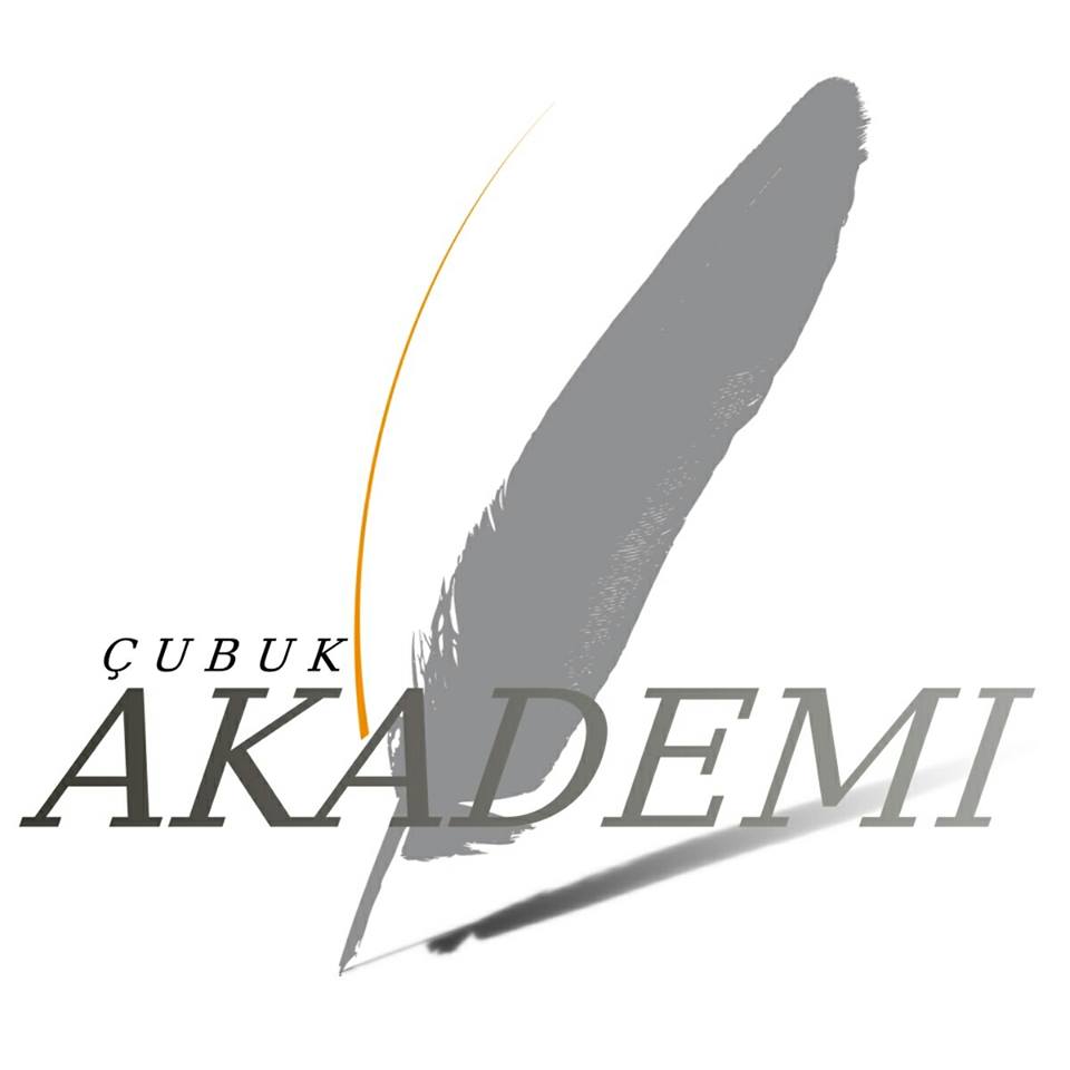 Çubuk Akademi Projesi