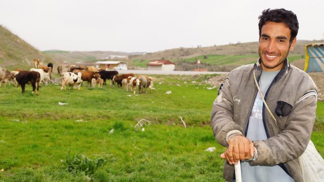 Suriyeliler için çobanlık geçim kaynağı oldu