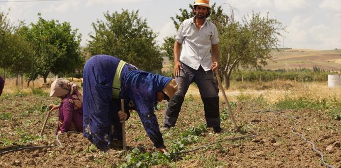 Ankara'da Suriyeli Mevsimlik İşçi Dönemi