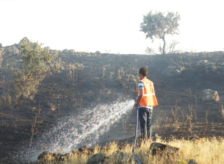 Çubuk'ta mera yangını