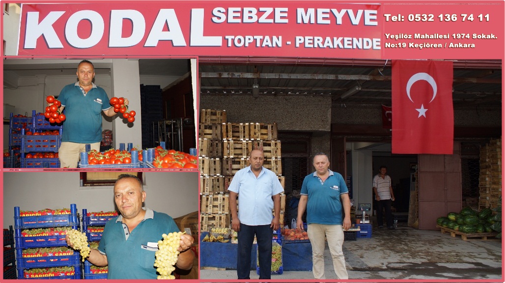 Kodal Toptan ve Perakende Meyve, Sebze