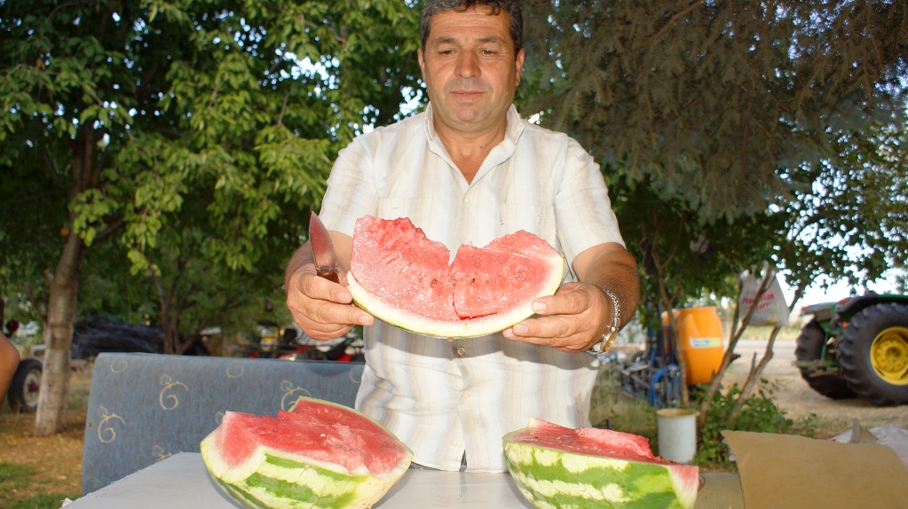 Kapatılan besi çiftliklerinin yerini seralar aldı