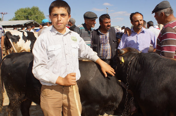 Kurban Pazarlarında Okul Harçlıklarını Çıkartıyorlar