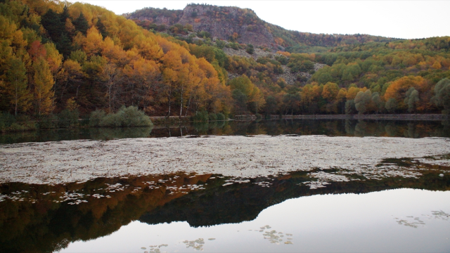 Doğa Sevenler Derneği Başkanı Uluğ, Doğallığı Bozulmasın !