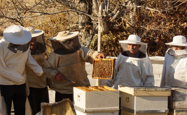 Çubuk'ta arıcılık kurslarına ilgi arttı