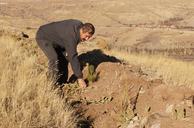 Çubuk’ta fidan dikimi