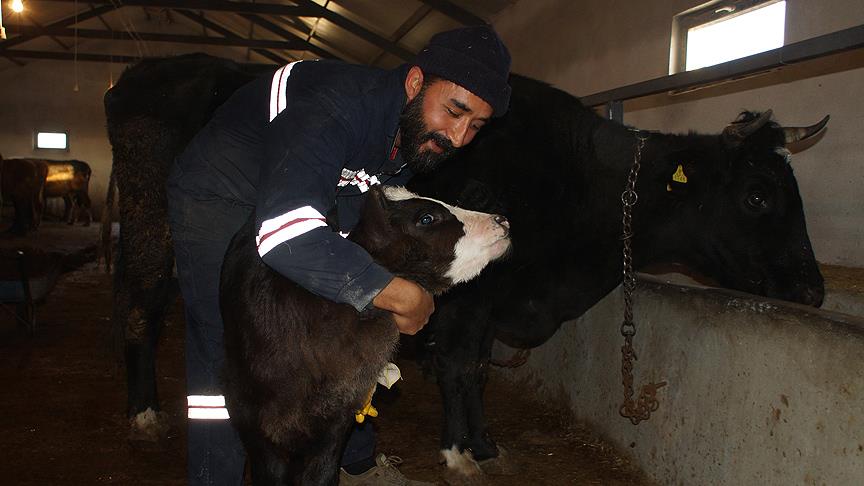 Müdürlüğü bırakıp köy yaşantısını seçti