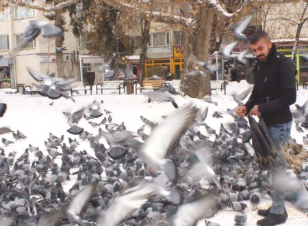 Hamallık yaparak güvercinleri besliyor