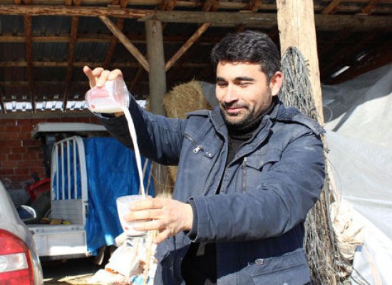 Tartışmaların yaşandığı süt sektöründe üretici isyanda