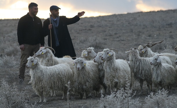 Türkiye'de Bir İlk: Çoban Fuarı