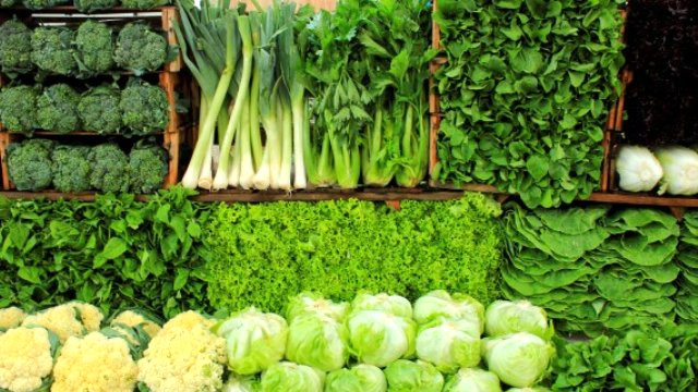 Başkentin "Yeşillikleri" Çubuk'tan