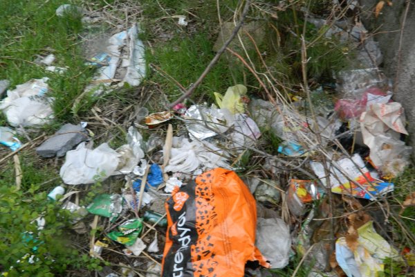 DÜNYA ÇEVRE GÜNÜ...