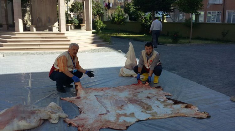 Çubuk Müftülüğü'ne kurban ve deri bağışları