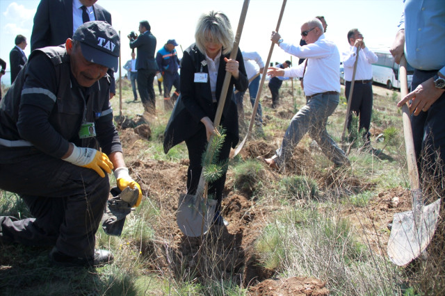Havalimanı Çalışanları Fidan Dikti