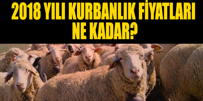 2018 Kurbanlık Fiyatları Ne Kadar
