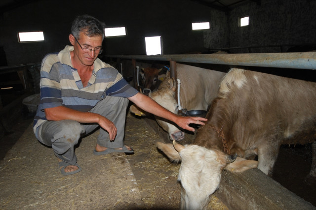 Aydos Dağı'nda Beslenen Kurbanlıklar Günler Öncesinden Satıldı