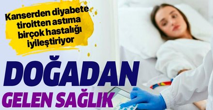 DevaPark'ta Ozon Tedavisi Başladı