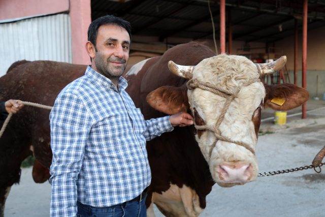 Tekin Gross Besicilikte Kurbanlık Satışları Başladı