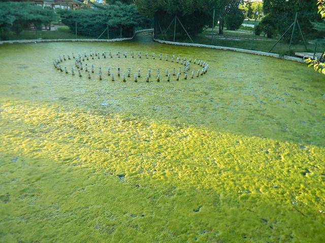 YEŞİL ÇUBUK PARKI’NDAKİ HAVUZU KİM TEMİZLEYECEK?