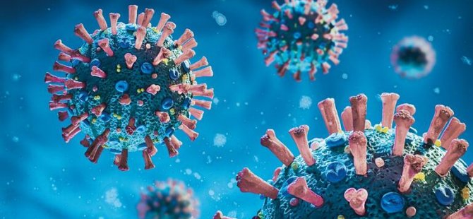 SALGIN SÜRECİNDE BAŞA DÖNDÜK...