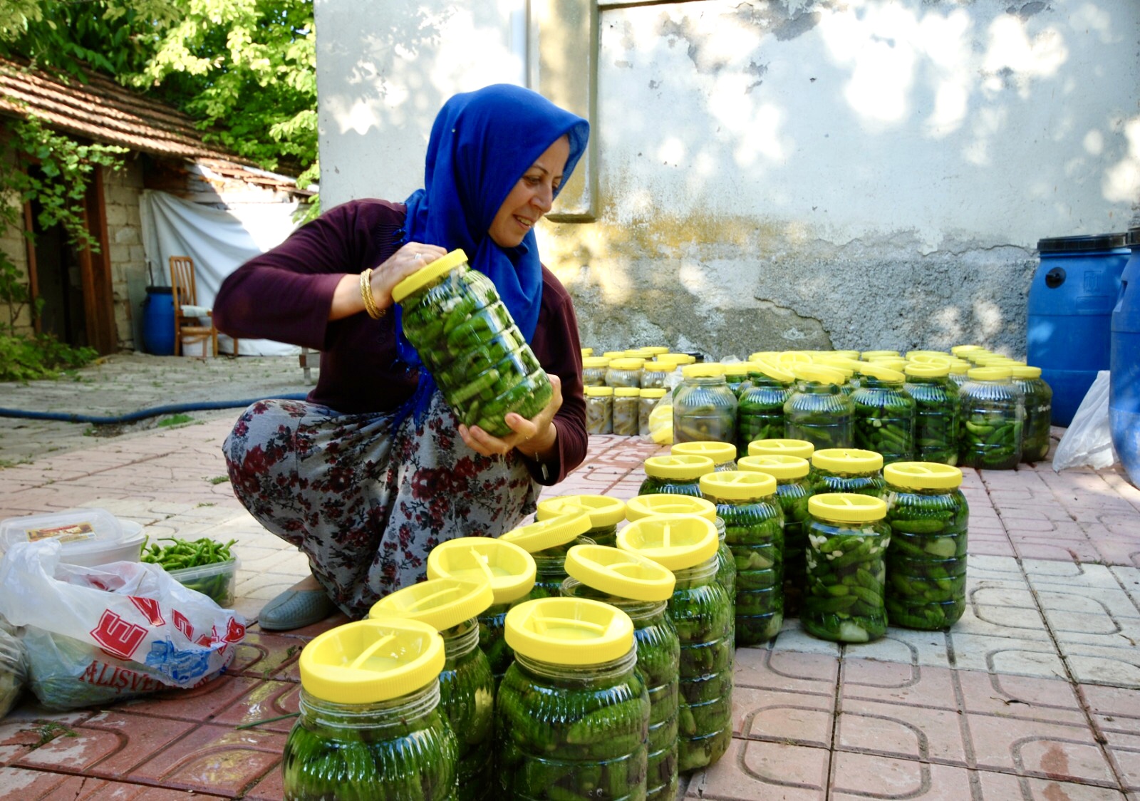 Bizim Köy Sepeti ile Doğal Fermente Turşu Kurulumu
