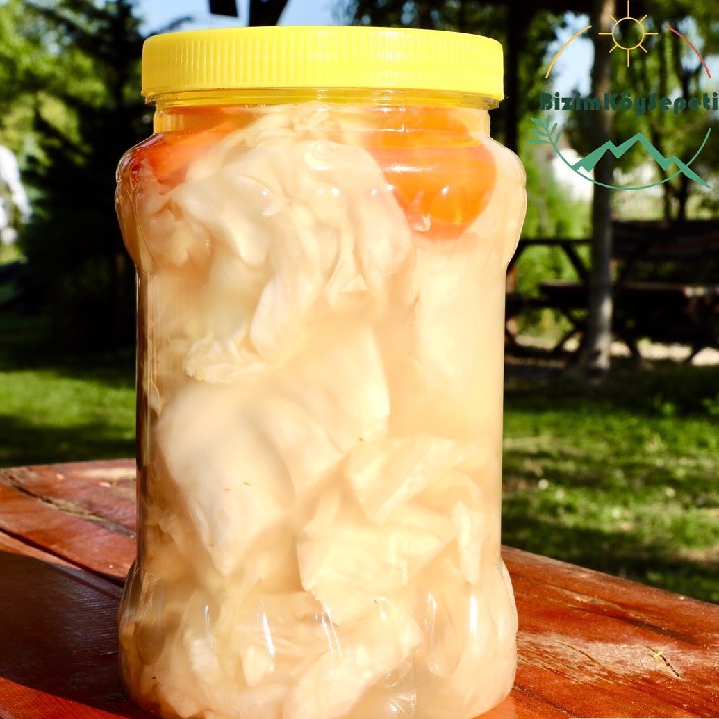 Lahana Tuşusu Kısıra, Kısır da Turşuya Aşık