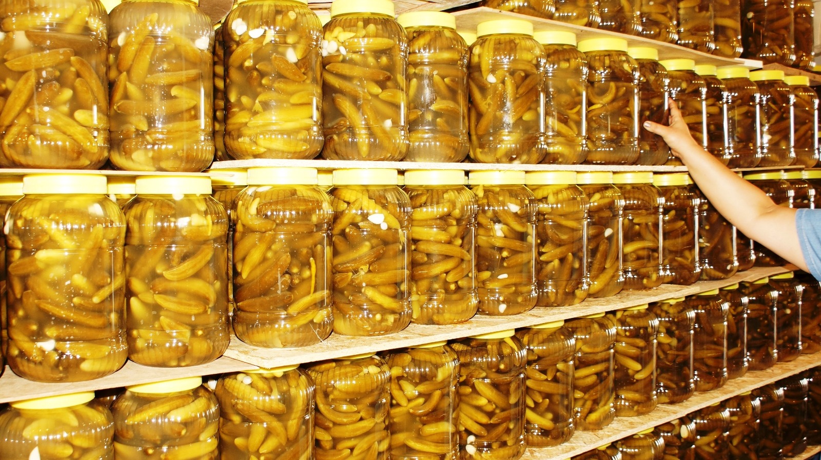 Çubuk Salatalık Turşusu