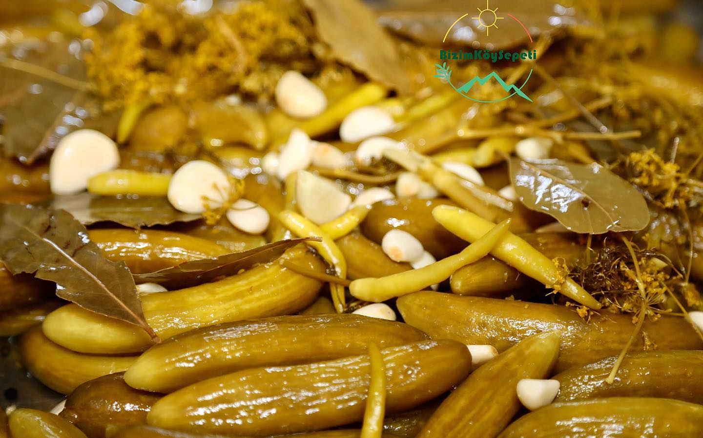 Çubuk Turşusu Hakkında Aklınıza Takılan Tüm Bilgiler Burada