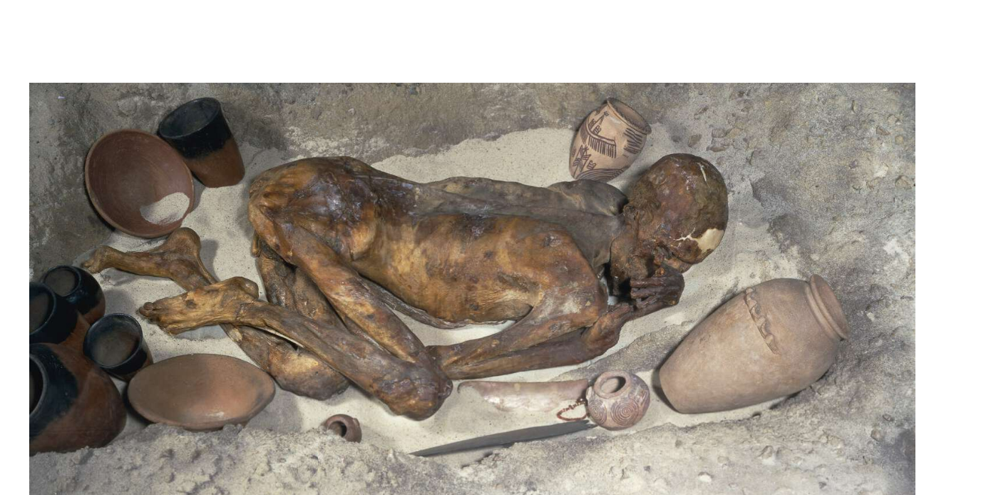 EN GÜÇLÜLERİ, EN GÜÇSÜZLERLE MAĞLUP EDEN ALLAH’IN ŞANI NE YÜCEDİR!