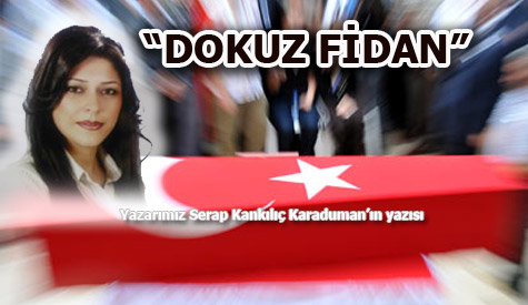Dokuz Fidan
