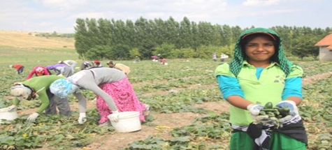 Mevsimlik İşçiler Erken Dönüyor