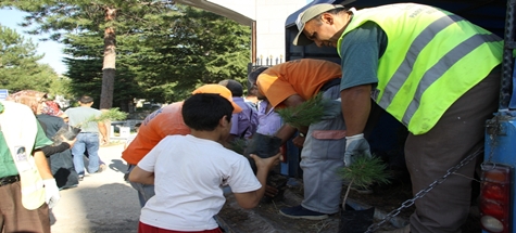 MEZARLIKLARDA ÜCRETSİZ FİDAN DAĞITILDI