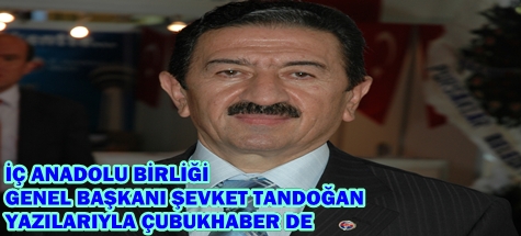 ŞEVKET TANDOĞAN YAZILARIYLA ÇUBUKHABER'DE