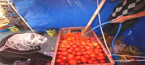 DOMATES PARA ETMEYİNCE SALÇA OLDU