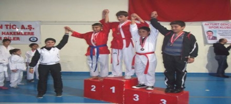 Budokaido da 11 madalya ve 1 kupa