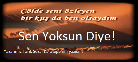 Sen Yoksun Diye!