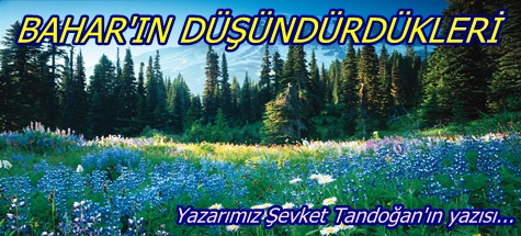BAHARIN DÜŞÜNDÜRDÜKLERİ