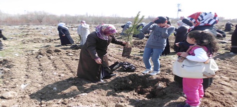 Çubuklu Ev Kadınları Fidan Dikti