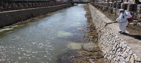 Çubuk'ta sinekle mücadele başladı