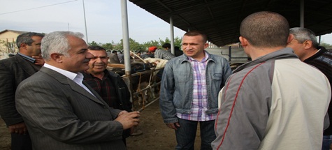 Özden, Hayvan Pazarını İnceledi