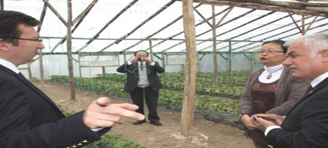 James C.H. Chen, Çubuk'ta Seraları İnceledi