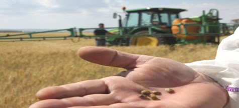 Çubuk'ta Süneyle Mücadele Başladı