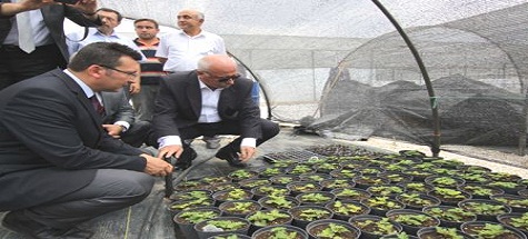 Vali Yüksel Çubuk'ta